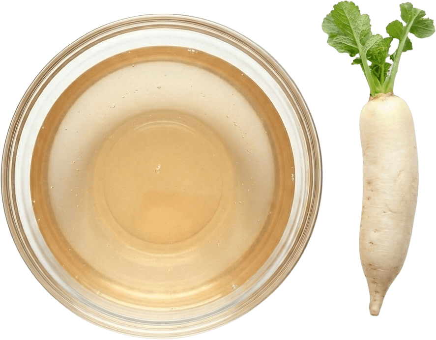 Ferment z korzenia rzodkwi