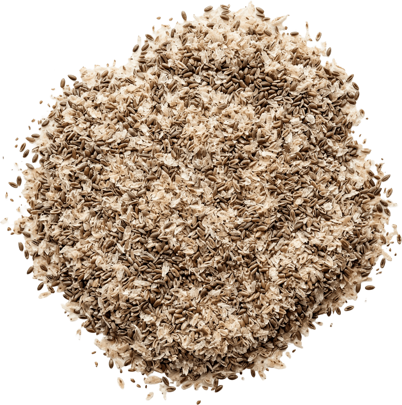 Babka jajowata i babka płesznik